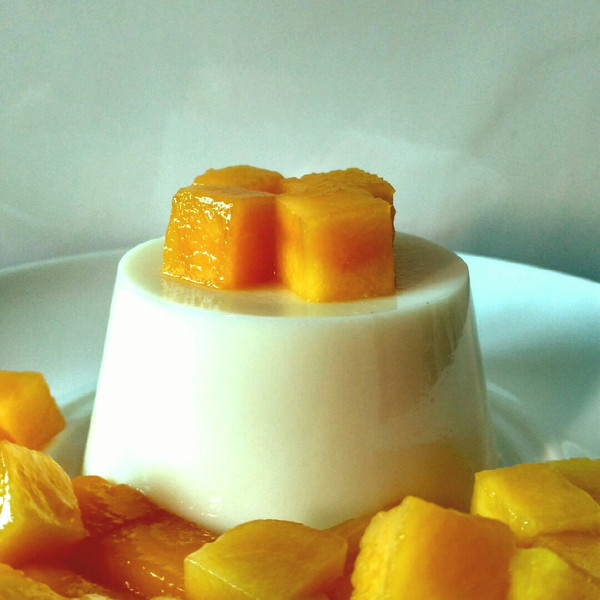 菠萝蜜105的牛奶芒果布丁做法的学习成果照