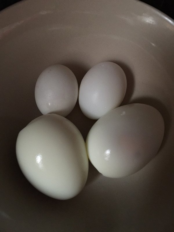 赵陈的月子餐之早饭鸡蛋加鸽子蛋做法的学习成