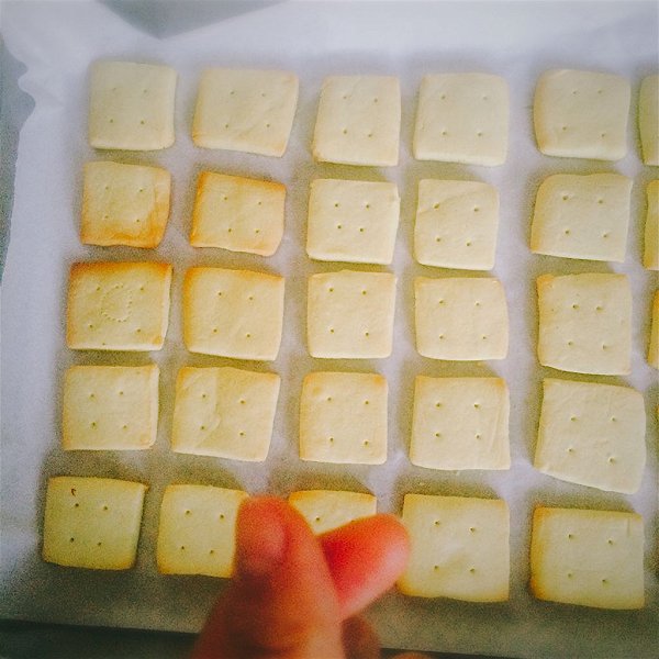 wxyhowl的奶油奶酪小方(来自台湾甜品书)做法