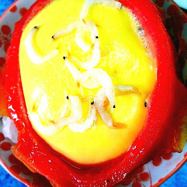 皓皓的厨娘的火龙果壳鸡蛋羹做法的学习成果照