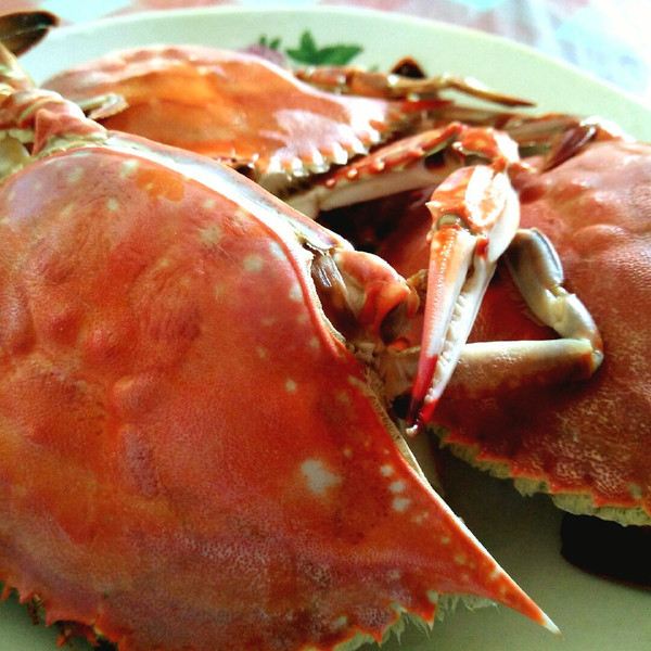 容熙的清水煮螃蟹做法的学习成果照_豆果美食