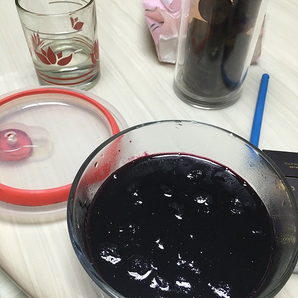 奔仔宝的自制蓝莓果酱做法的学习成果照