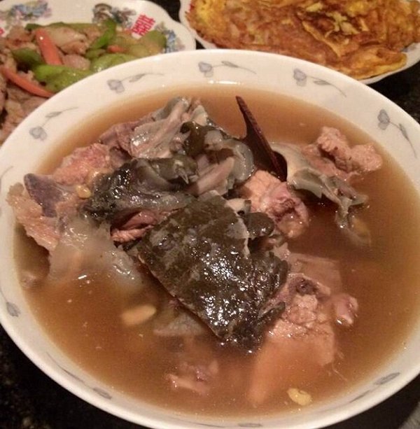 小美05格的黄瓜甲鱼排骨滋补汤蛤蜊的学习成雪梨和做法能一起吃吗图片