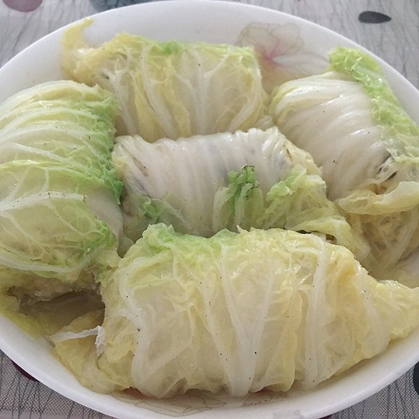 南栀北葵的迷迭香:白菜豆腐卷做法的学习成果