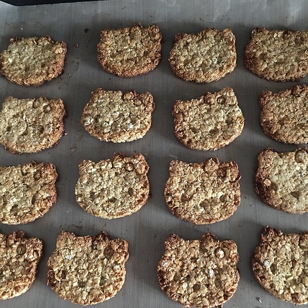 天向上的减肥零食 燕麦饼干 新手完全没问题做