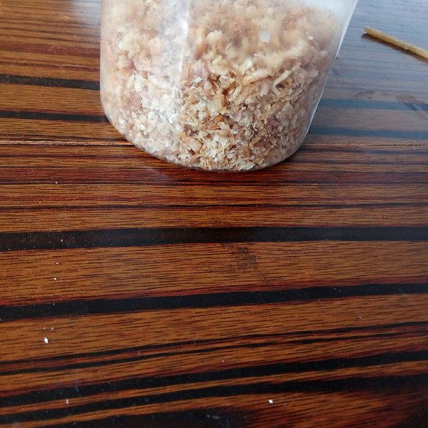 无处可逃4的鸭掌做法(微波炉和料理机版)肉松平安树和宝宝木的区别图片